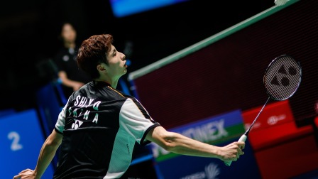 不仅提升了 不仅提升了