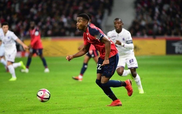 借鉴成功案 借鉴成功案