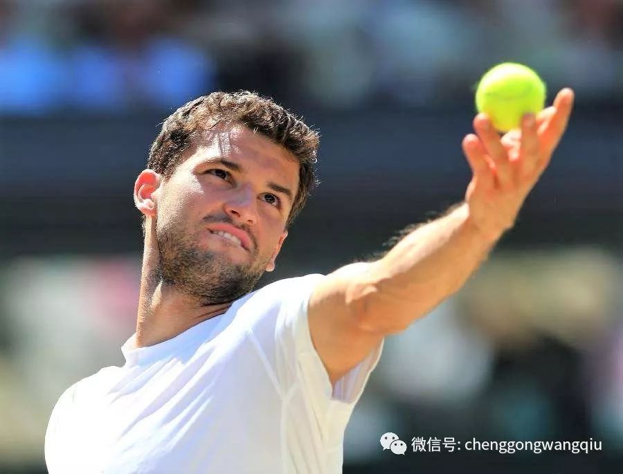 他们能为球 他们能为球